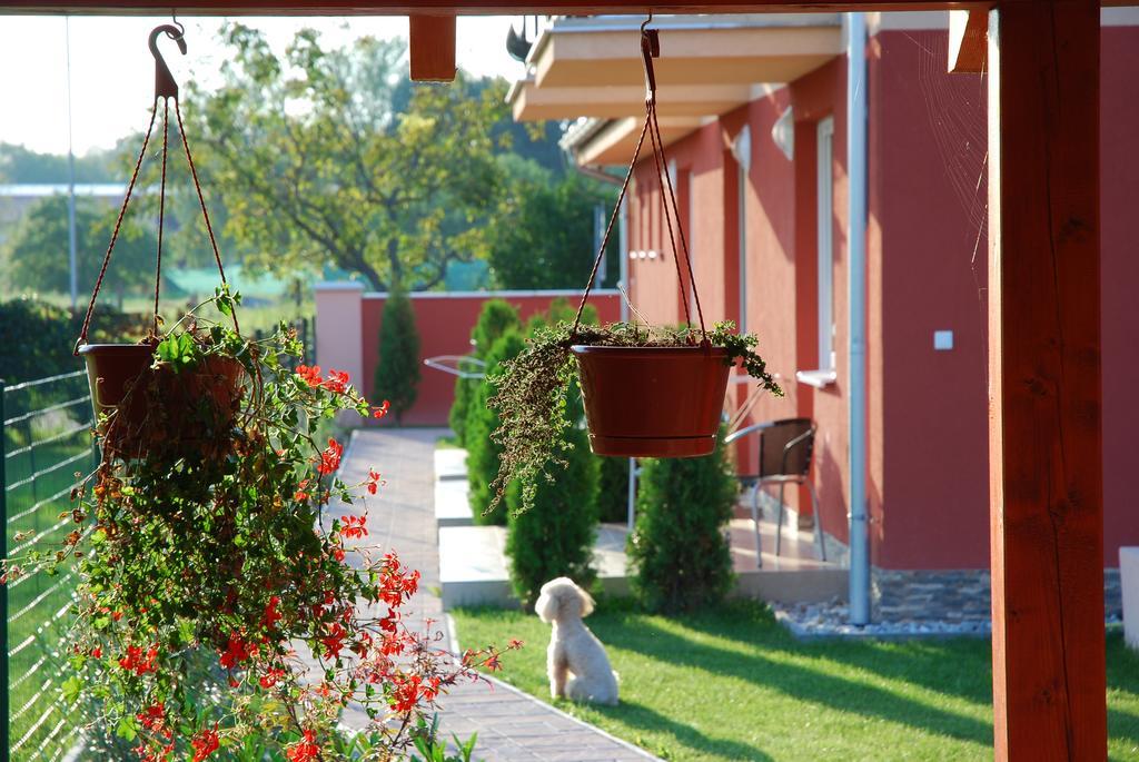 Fridrich Apartman Velky Meder Exterior photo